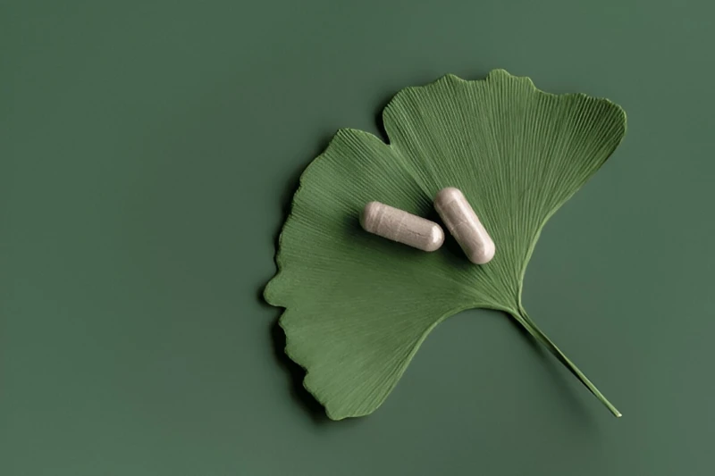 Ginkgo Biloba and Memory Enhancement: Boost Your Brain Naturally