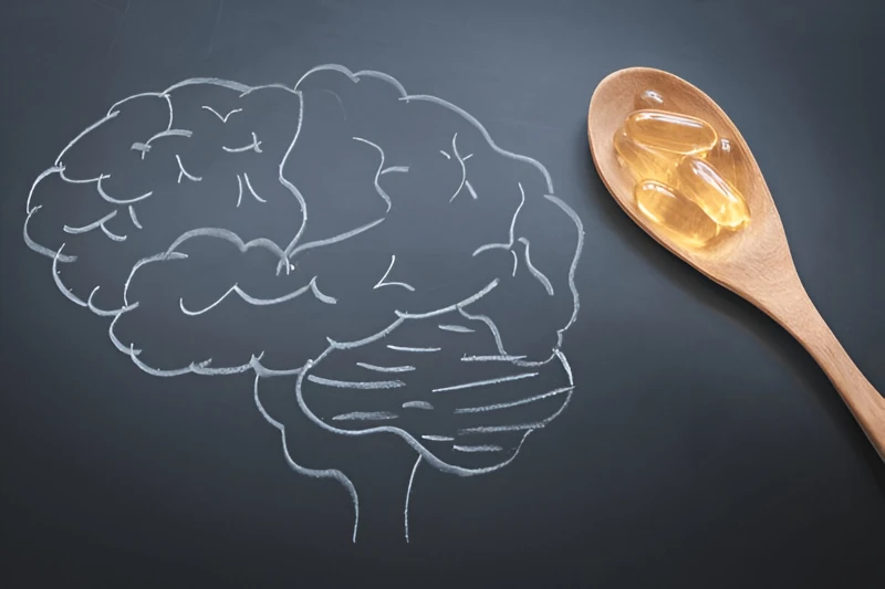 Fish oil and memory enhancement: 6 Key Components