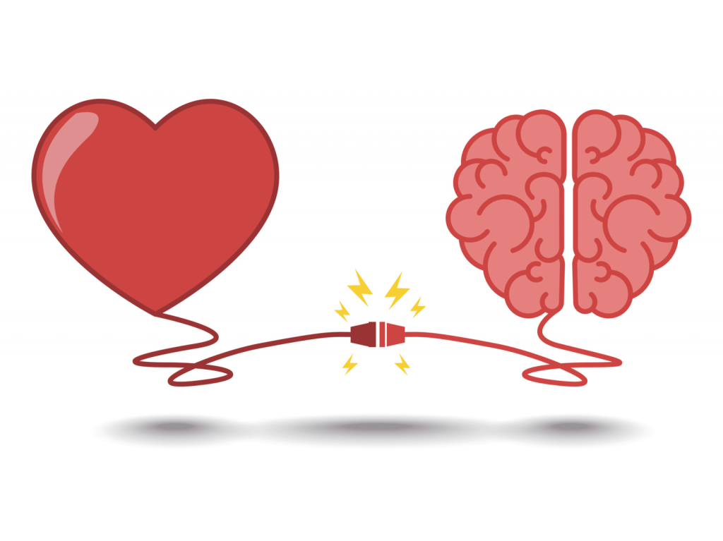 supplements for heart and brain health
