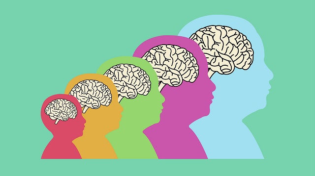 brain health from birth supplements