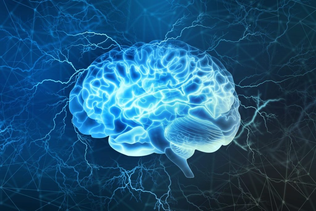 Why Cellular Energy Matters for Brain Performance